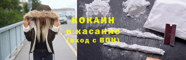 твердый Алексин