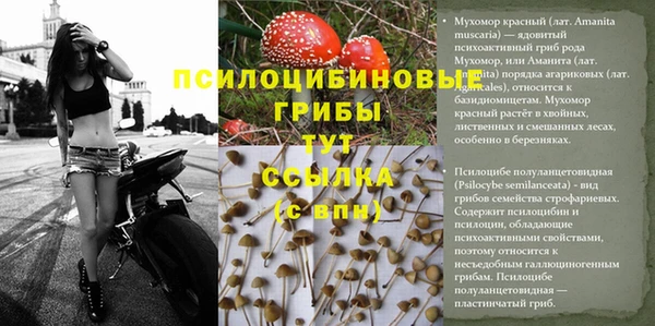 гидра Алексеевка