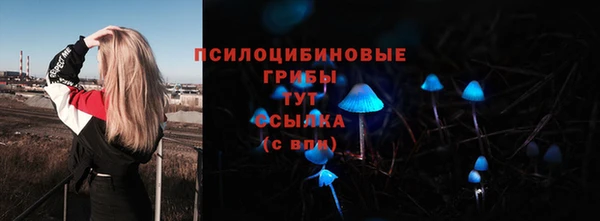 твердый Алексин