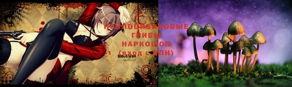 твердый Алексин